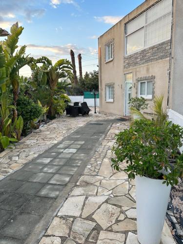 a stone walkway in front of a building with plants at Modern house in Larnaca in Larnaka