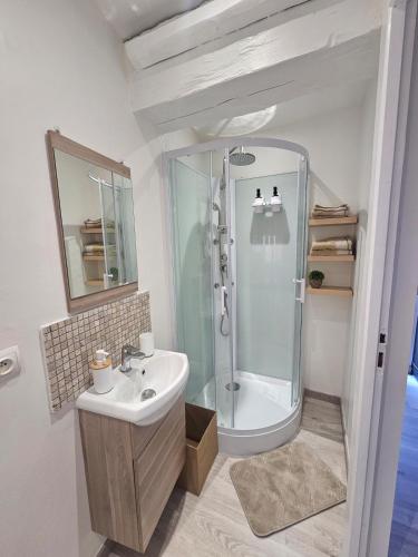 a bathroom with a shower and a sink at Mediterranean Studio in Saint-Cyprien