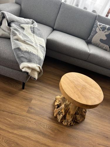 a living room with a couch and a wooden coffee table at Mountain Garden Apartments Abete in Giustino