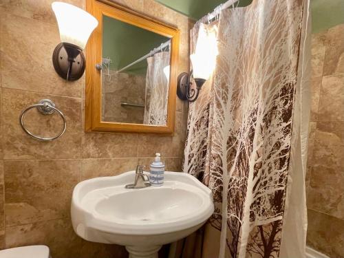 a bathroom with a sink and a shower curtain at Fully Furnished 2BR Apartment Near Oak Park I Utilities Included I Car Rental Available in Chicago