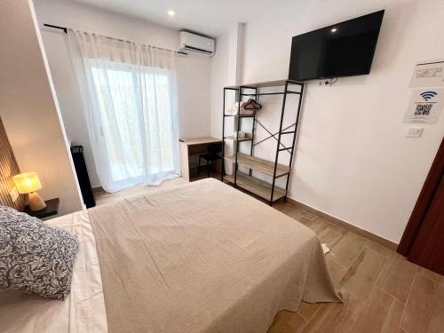 a bedroom with a bed and a television on the wall at Thor Hostal Boutique in Alicante