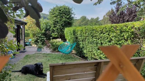 a black dog laying in the grass in a garden at Whimsy by the Peaks, private parking, fenced garden, good walks, pub in Tansley