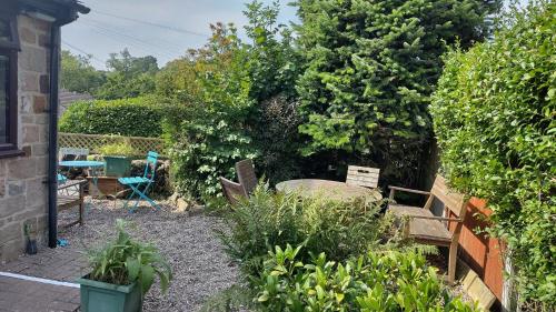 a garden with a bench and a tree at Whimsy by the Peaks, private parking, fenced garden, good walks, pub in Tansley