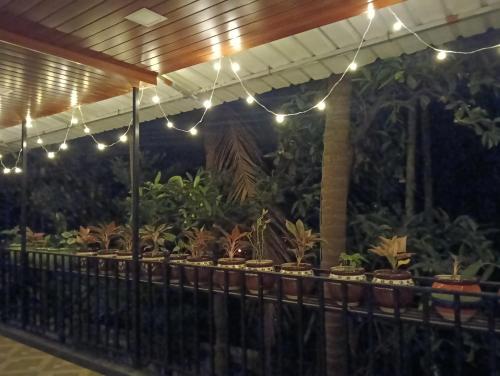 a patio with potted plants and string lights at Dlite villa home stay in Revadanda