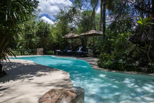 a swimming pool in a yard with chairs and trees at Ezulwini Game Lodges in Balule Game Reserve