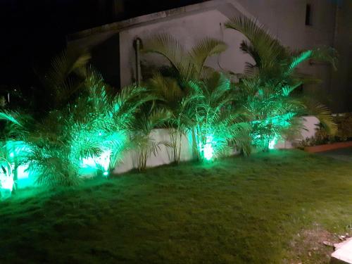 Un jardín fuera de Pushpavishwa villa