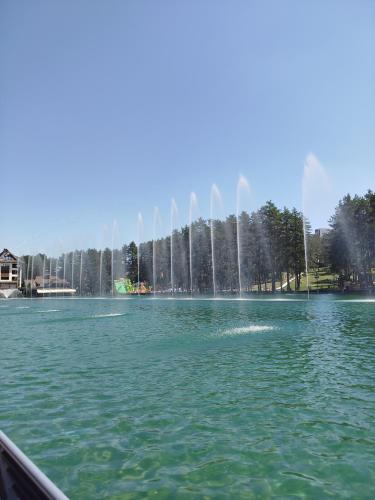a fountain in the middle of a body of water at STUDIO 33 Luxury&Spa in Zlatibor