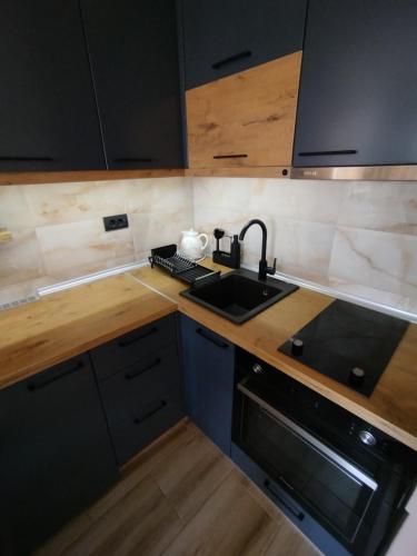 Kuchyň nebo kuchyňský kout v ubytování Apartman Gold