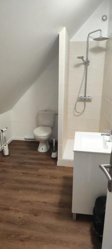 a bathroom with a toilet and a sink at Gites de Coulonge in Coulonges-Ardennes