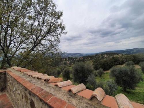 Imagen de la galería de Pleasant holiday home in Seggiano with private terrace, en Seggiano