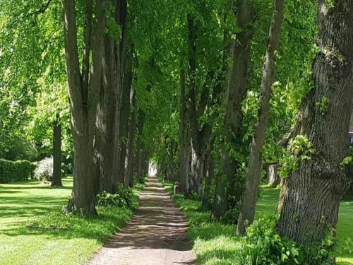 Taman di luar Ferienwohnung im Weserbergland