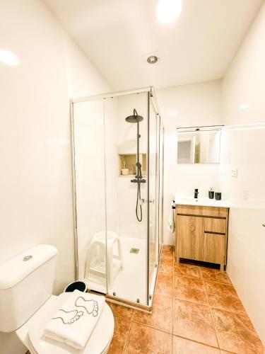 a bathroom with a shower and a toilet at Apartamento Susurros do Atlántico by ALÔGA in Fisterra