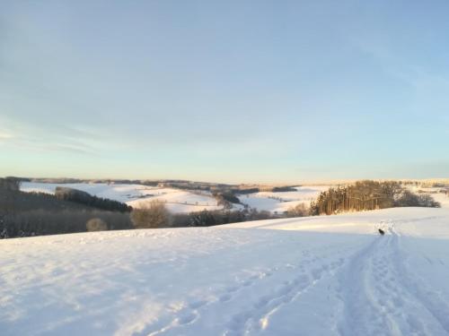 a person is skiing down a snow covered slope at Holiday home Eifelhome in Germany in Kleinlangenfeld