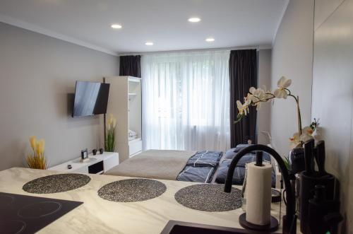 a bedroom with a bed and a large window at Apartament w Centrum Tarnowa Lwowska in Tarnów