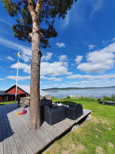 a tree sitting on a deck next to a tree at Camp Caroli Villa Aurora in Jukkasjärvi