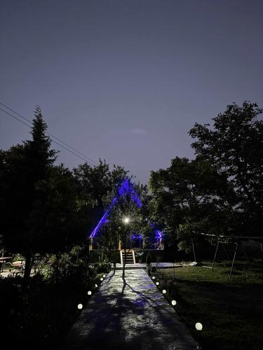 a pathway with blue lights in a park at night at house milena in K'obulet'i