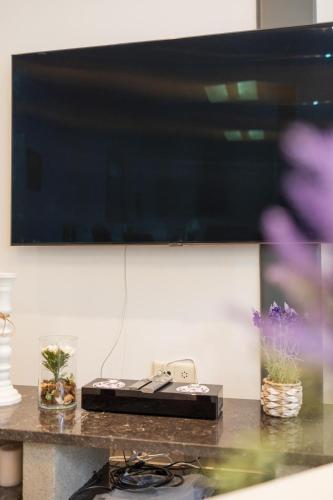 TV a/nebo společenská místnost v ubytování Secret garden
