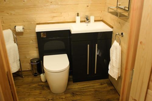 a small bathroom with a sink and a toilet at Highgate Cabin in Takeley