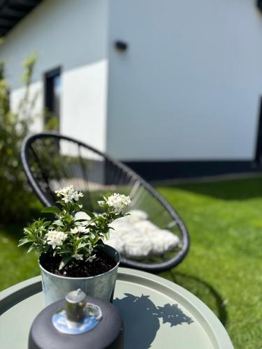 a table with a potted plant on top of it at Fichtelcube de in Schönwald
