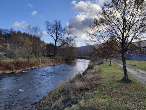 a river with a tree in the middle of it at Holiday Home in Zátor near Ještěd Ski Resort in Zátor