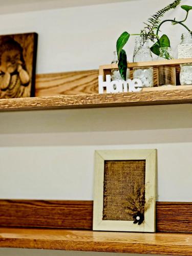 a shelf with a picture and plants on it at Ecopark Lushy Stay - Vạt Xanh in Kim Quan