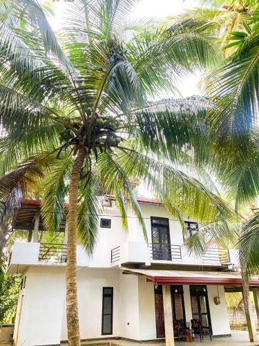Bangunan di mana terletaknya rumah tamu ini