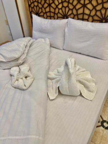 Gallery image of Yoya Boutique Pyramids Inn in Cairo