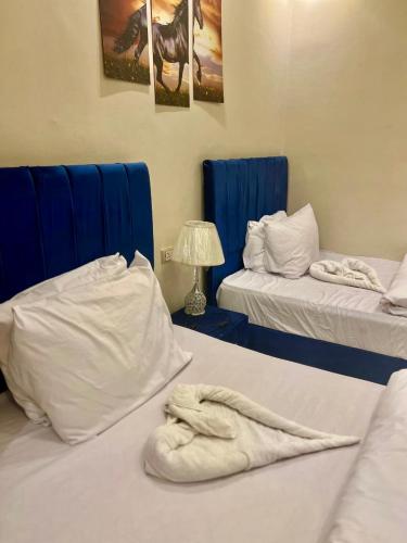 Gallery image of Yoya Boutique Pyramids Inn in Cairo