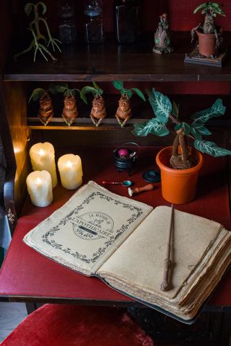 a table with an open book and a pen on it at La Maison de l'Apothicaire - Un refuge enchanté avec balnéo en hyper-centre in Crémieu