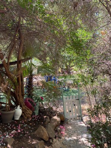 a white gate in a garden with trees and flowers at וילה כפרית in Chorazim