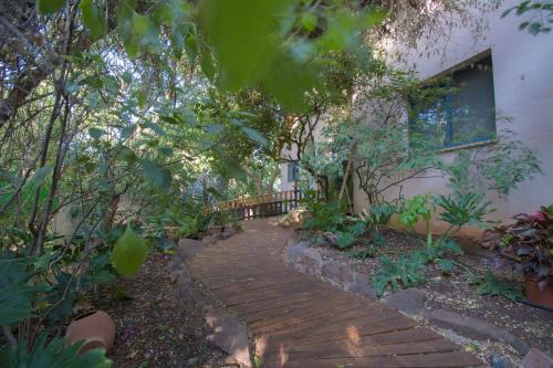 a walkway in front of a house with trees at וילה כפרית in Chorazim