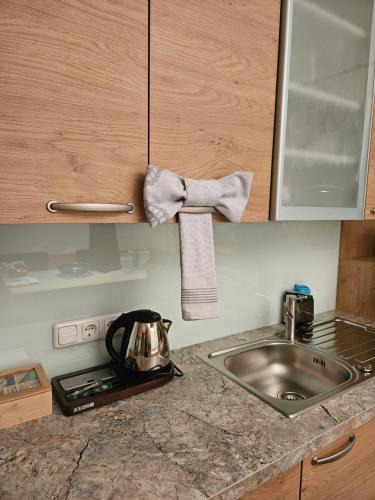 un bancone della cucina con lavandino e bollitore per il tè di Ferienwohnung Brzyski a Bad Aussee