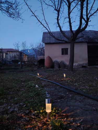 a yard with lights in the grass next to a house at Best place to stay in Lagodekhi in Lagodekhi
