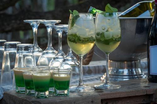 Ποτά στο HillsNek Safari Camp – Amakhala Game Reserve
