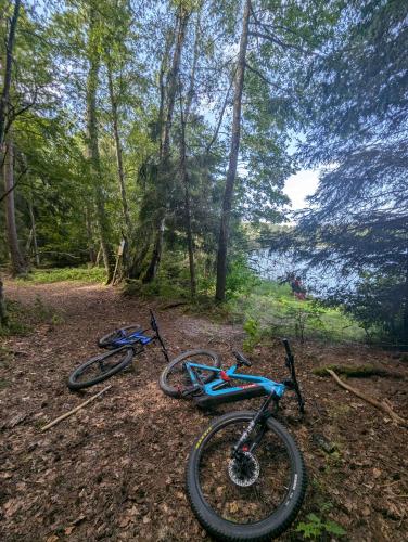 two bikes laying on the ground in the woods at Król Puszczy - unikatowy dom, jezioro 80m, szlak Krutyni in Ruciane-Nida