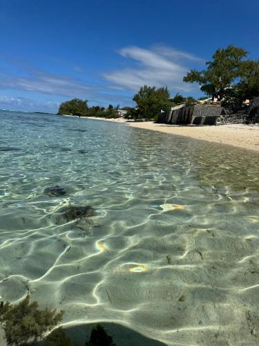 a beach with clear water and trees in the background at Tilakaz Kreol in Pointe d'Esny
