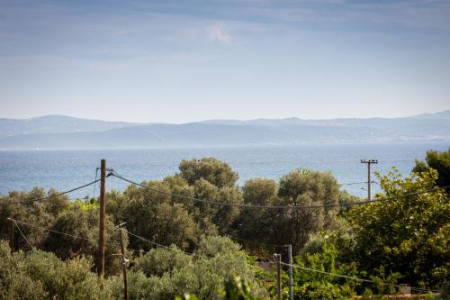 a view of the ocean from a hill with trees at SeaAuraApartment in Áyioi Apóstoloi