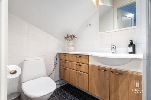 Ένα μπάνιο στο Holiday in Lapland - Leviraitti 14 B6