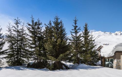 a group of trees in the snow next to a house at Hotel Annapurna in Courchevel