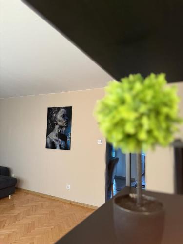 Fotografie z fotogalerie ubytování Perfect rest v destinaci Sanok