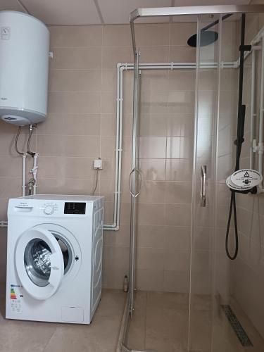 a bathroom with a washing machine and a shower at Mona apartman in Žabljak