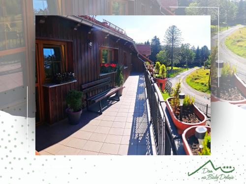 Zahrada ubytování Hotel Dom na Białej Dolinie