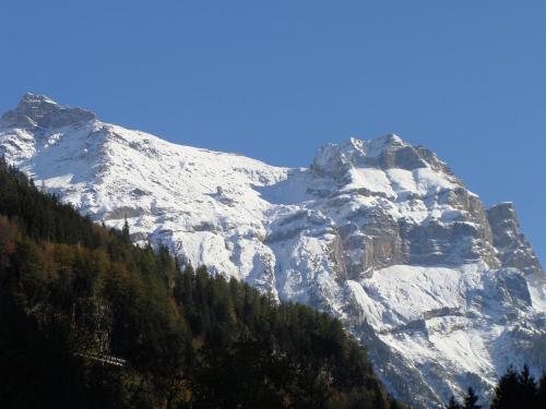a snow covered mountain with trees in front of it at Nature Escape in Kander Valley in Kandergrund