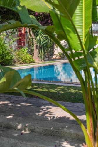 Galería fotográfica de Alacati Zeytin Konak Hotel en Alacati
