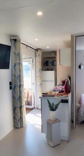 Mobil home neuf 4-6 P dans camping 4 étoiles - L'Almanarre Hyères