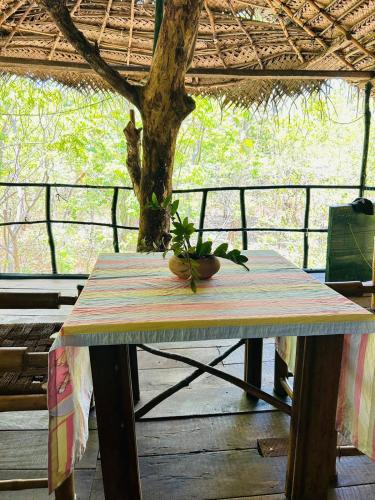 a wooden table with a potted plant on top of it at Yala Beddegama Eco in Kataragama
