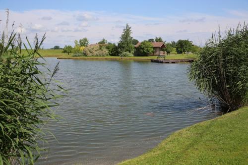 a lake with a house in the middle of it at Lauras Apartment in Bauska