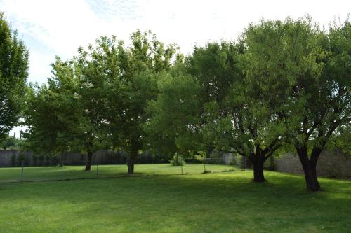 a group of trees in a field of grass at Agriturismo Ca' Del Gal in Valeggio sul Mincio