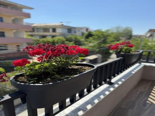 Κήπος έξω από το Villa 55