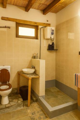 a bathroom with a toilet and a sink at Dormir con llamas in Maimará